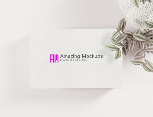 Delicate Business Cards – 5 views